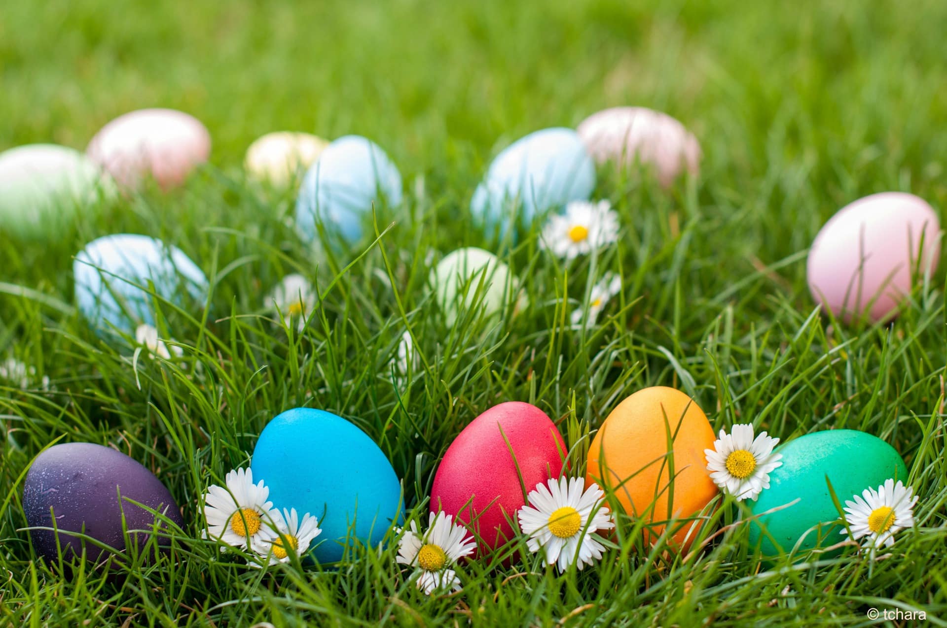 Easter Egg Hunt at the centre/ Shopping Centre/ Games and Puzzles, Angels On Wheels