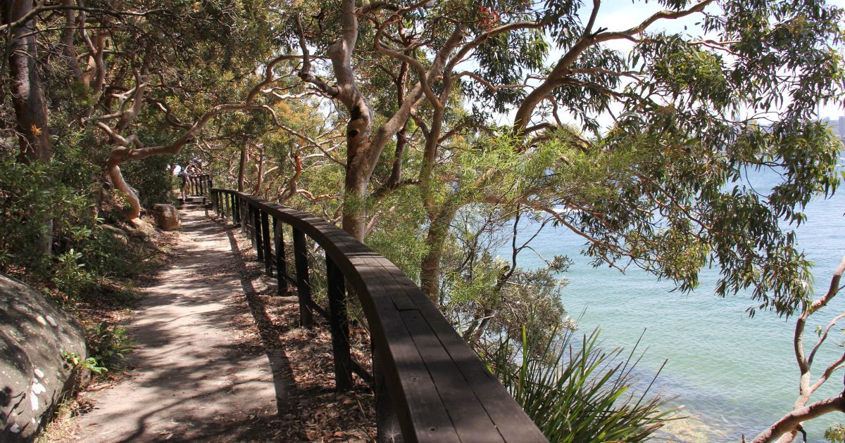 Bushwalk at Jospeh Banks Native Plants Reserve/ Donna’s Birthday/ Beauty Day, Angels On Wheels