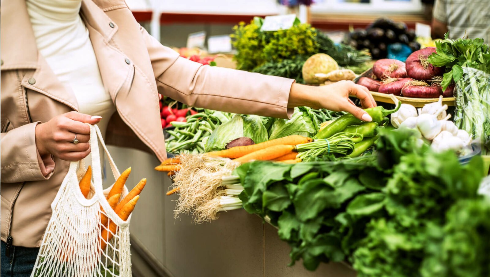 Shopping at Rockdale and Roselands/ Train trip, Angels On Wheels