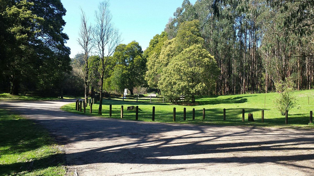Liberty Swing at the Park/ Train trip, Angels On Wheels