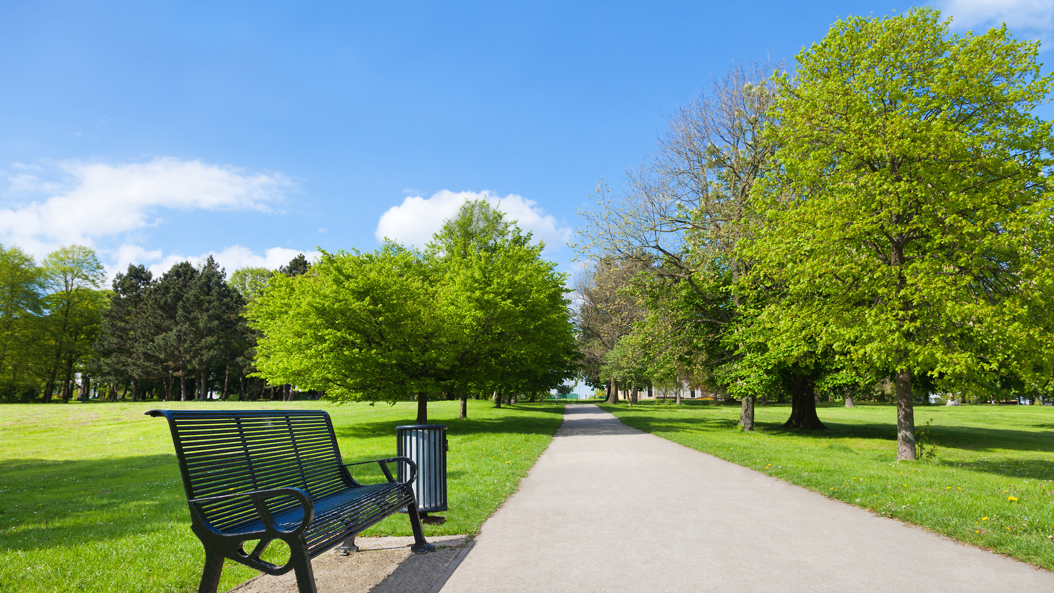 Rockdale park/Roselands mall/Beach/ Karoake, Angels On Wheels