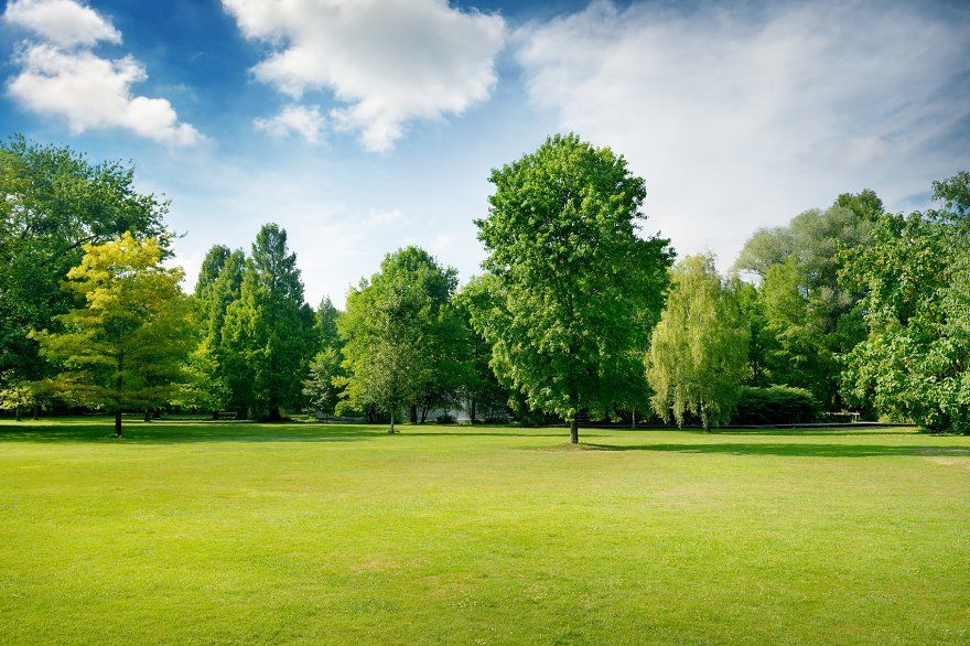 Barton Park/ Eid Celebrations, Angels On Wheels