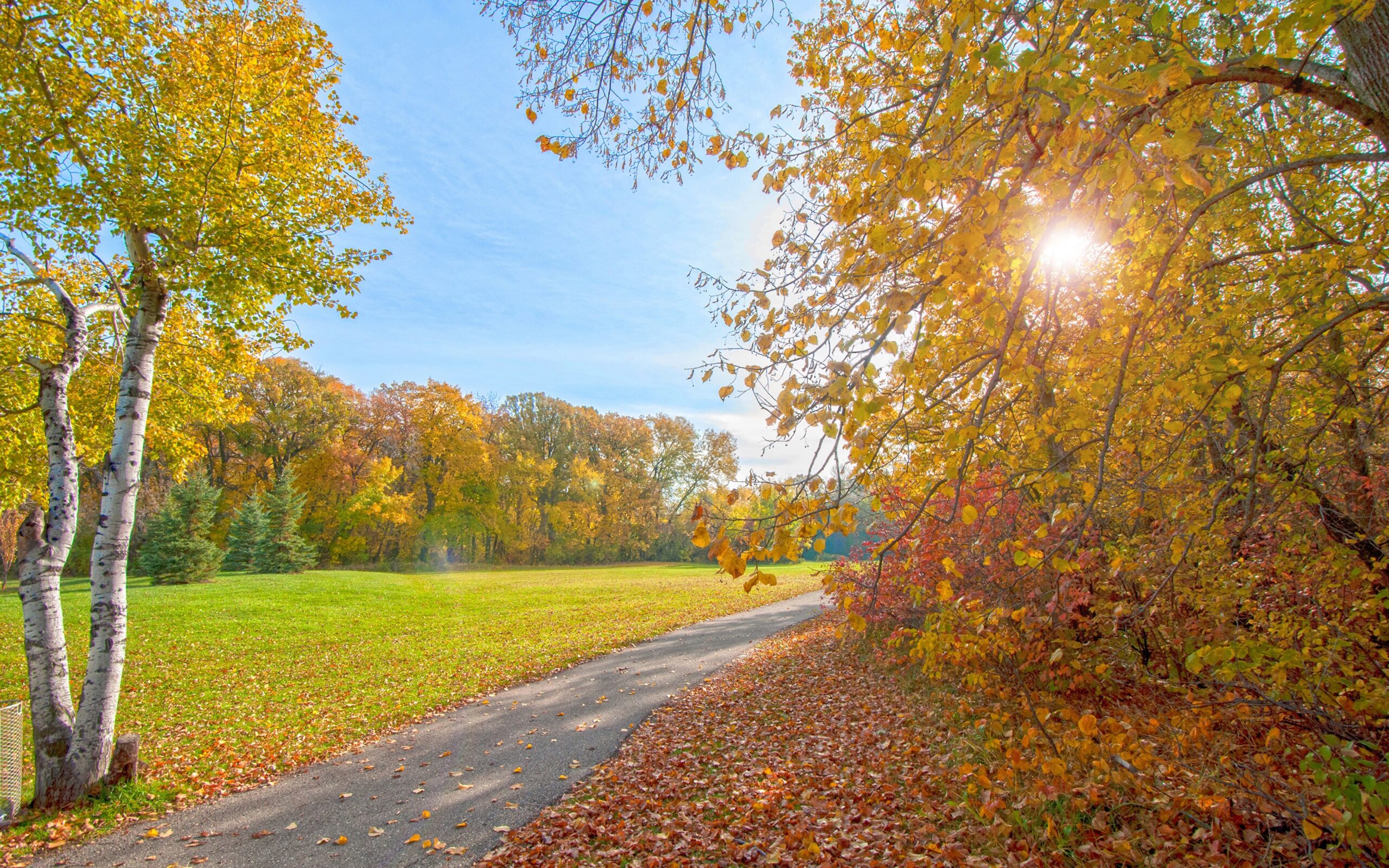 Rockdale Park/ Rotary Park/ Movie, Angels On Wheels
