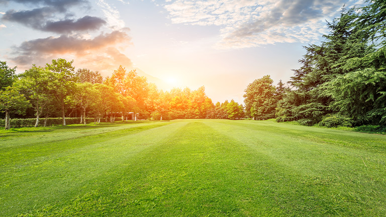 IKEA/Eastgardens, Angels On Wheels