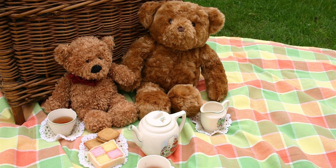Teddy Bear Picnic Day, Angels On Wheels