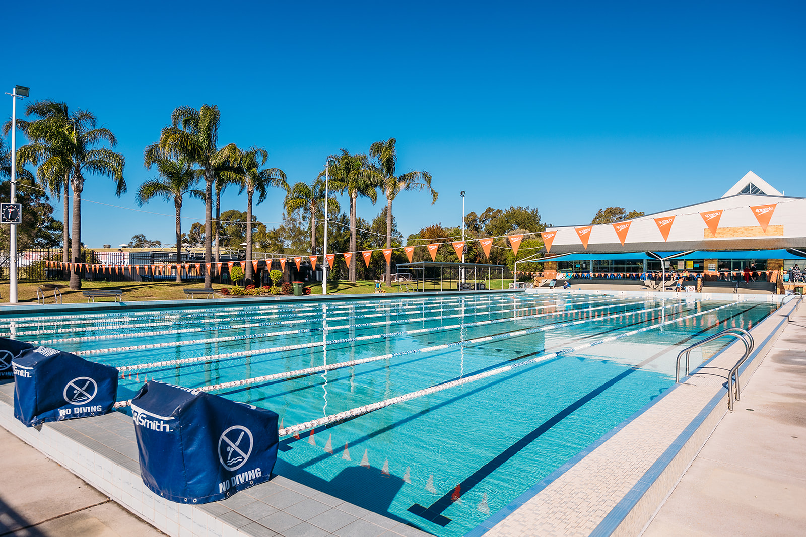 Swimming, Angels On Wheels