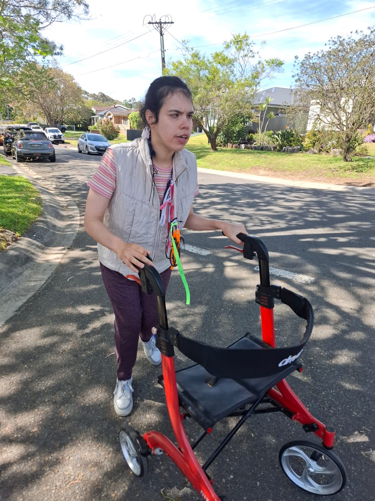 Cooking Program, Angels On Wheels