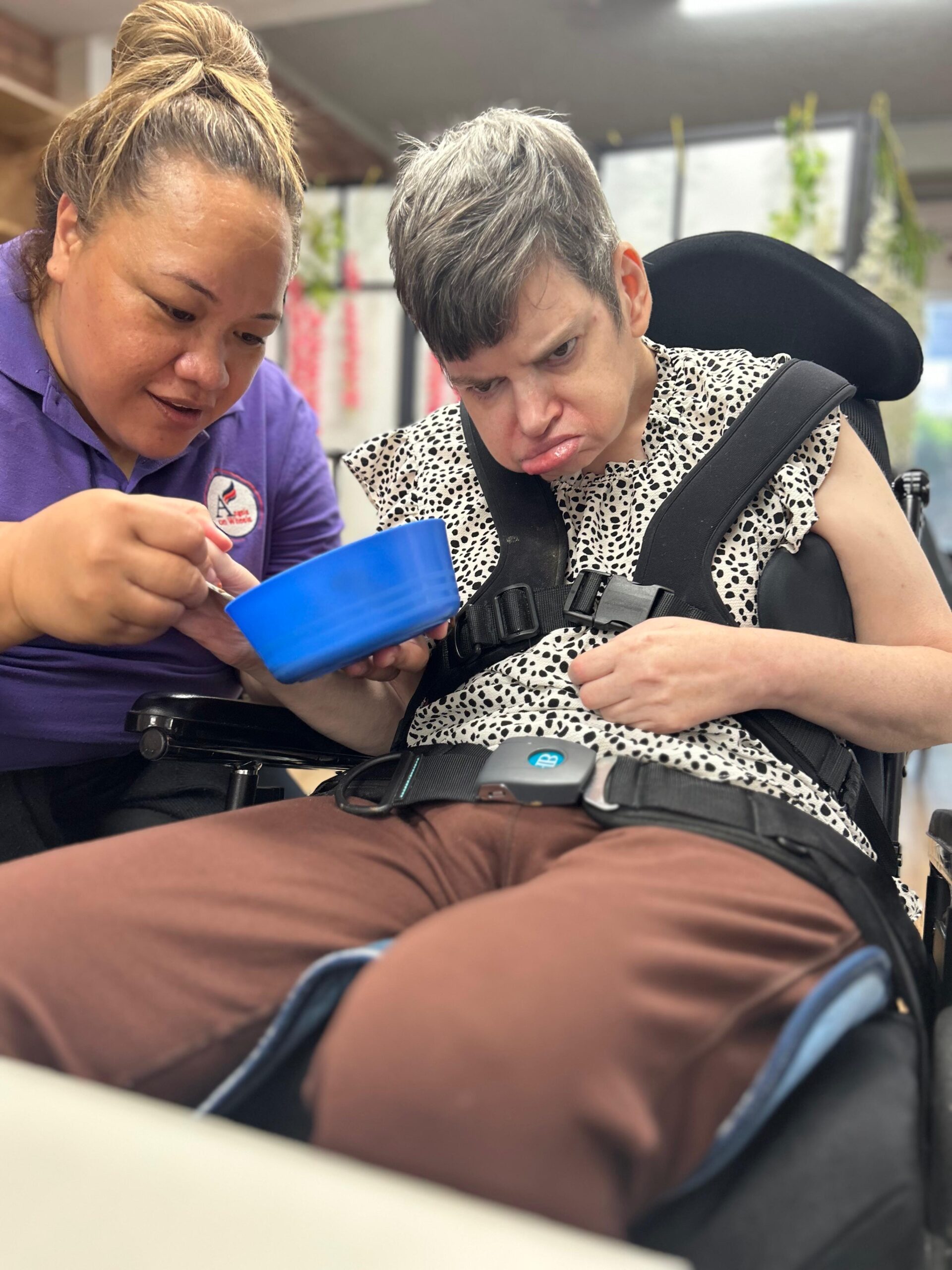 Chocolate Cake Day, Angels On Wheels