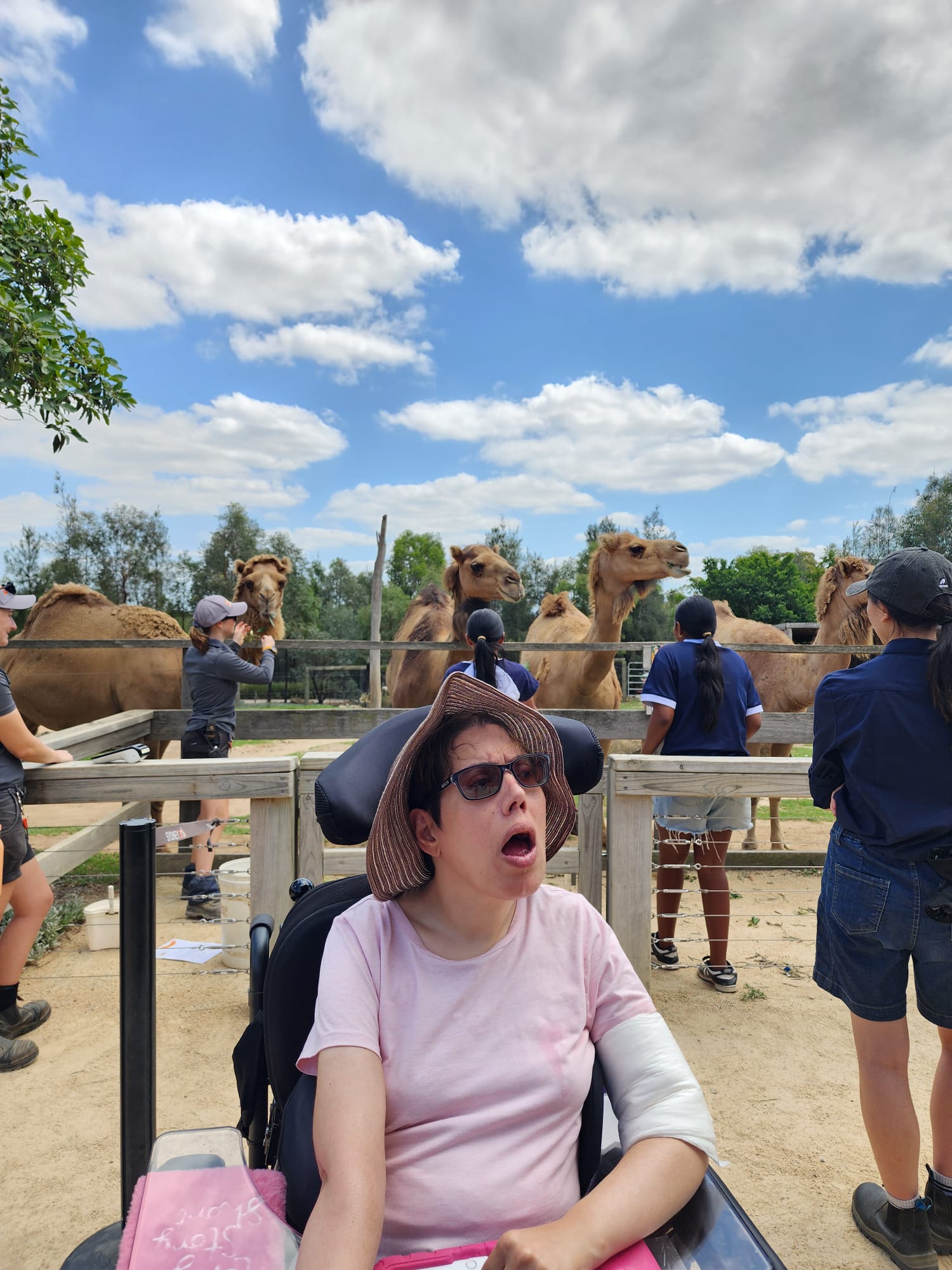 Sydney Zoo, Angels On Wheels