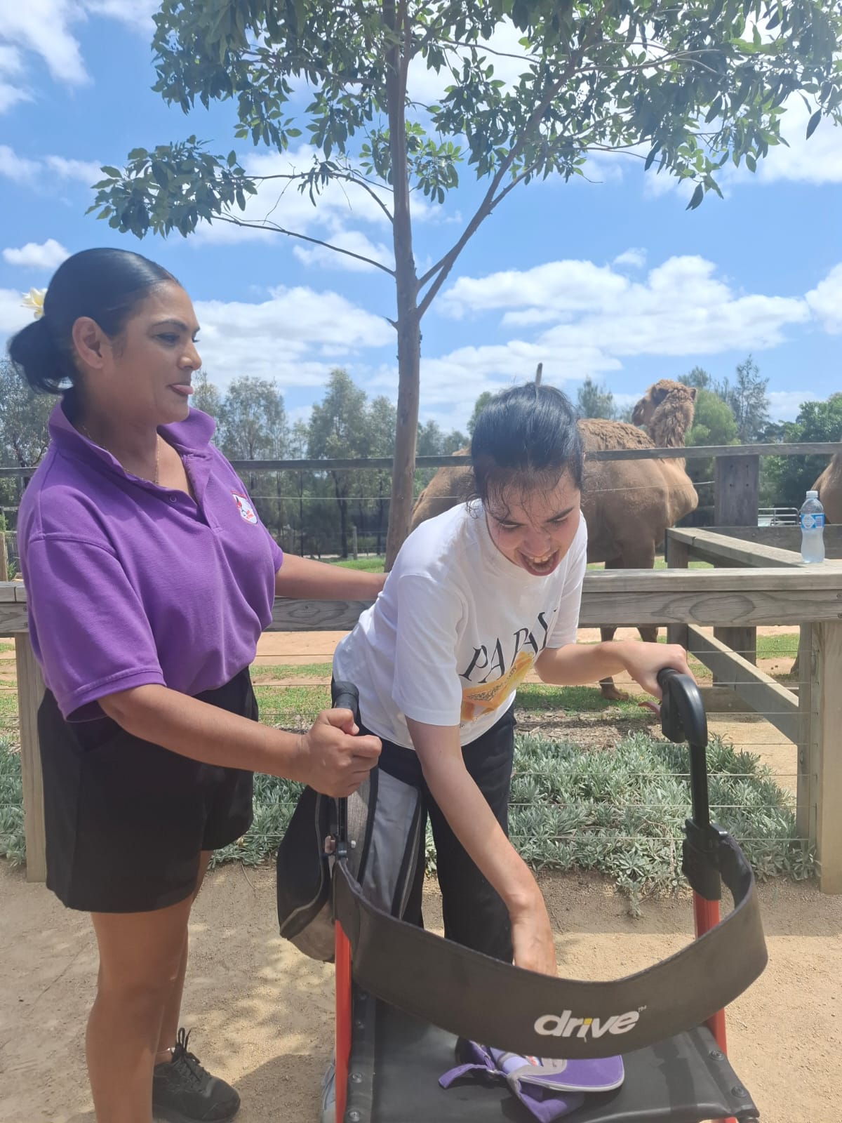 Sydney Zoo, Angels On Wheels