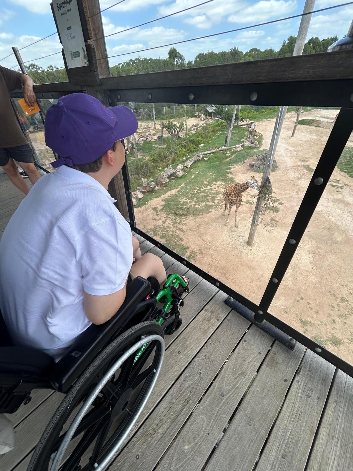 Sydney Zoo, Angels On Wheels