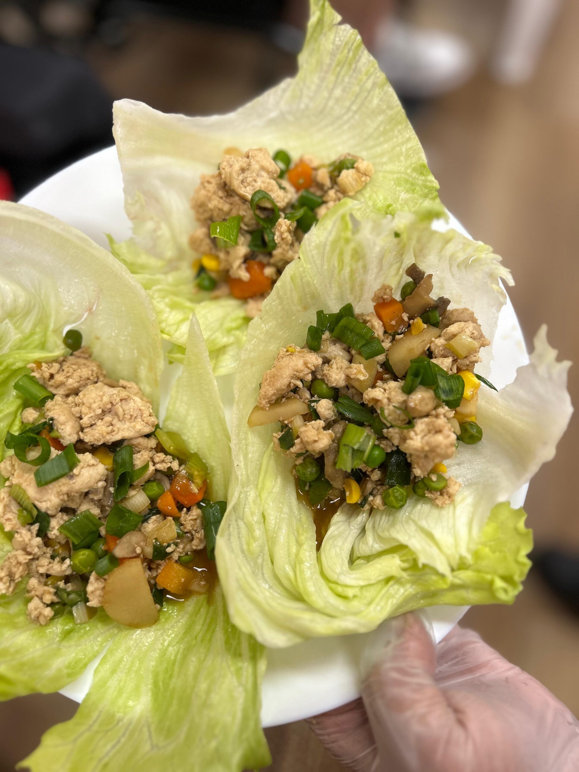 Cooking Program, Angels On Wheels