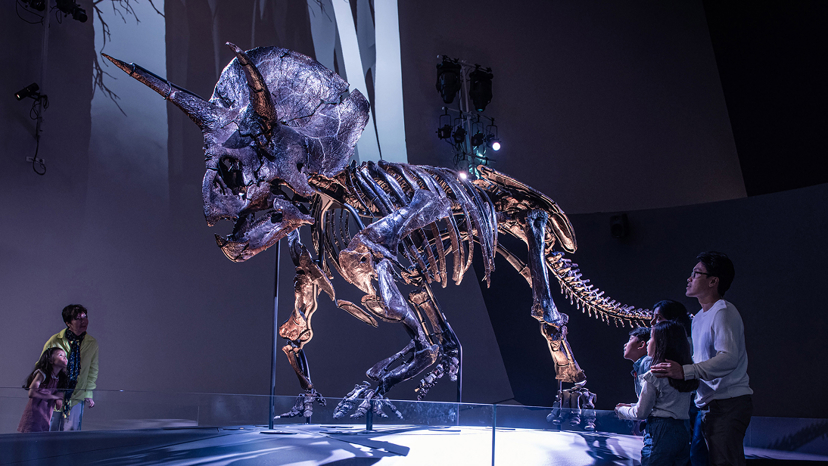 Museum, Angels On Wheels